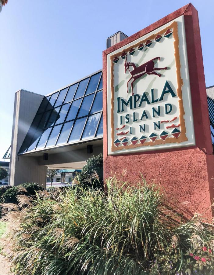 Hotel Impala Island